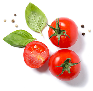 tomates-conocenos tomates-conocenos