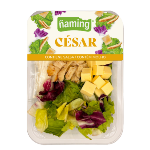CESAR 1