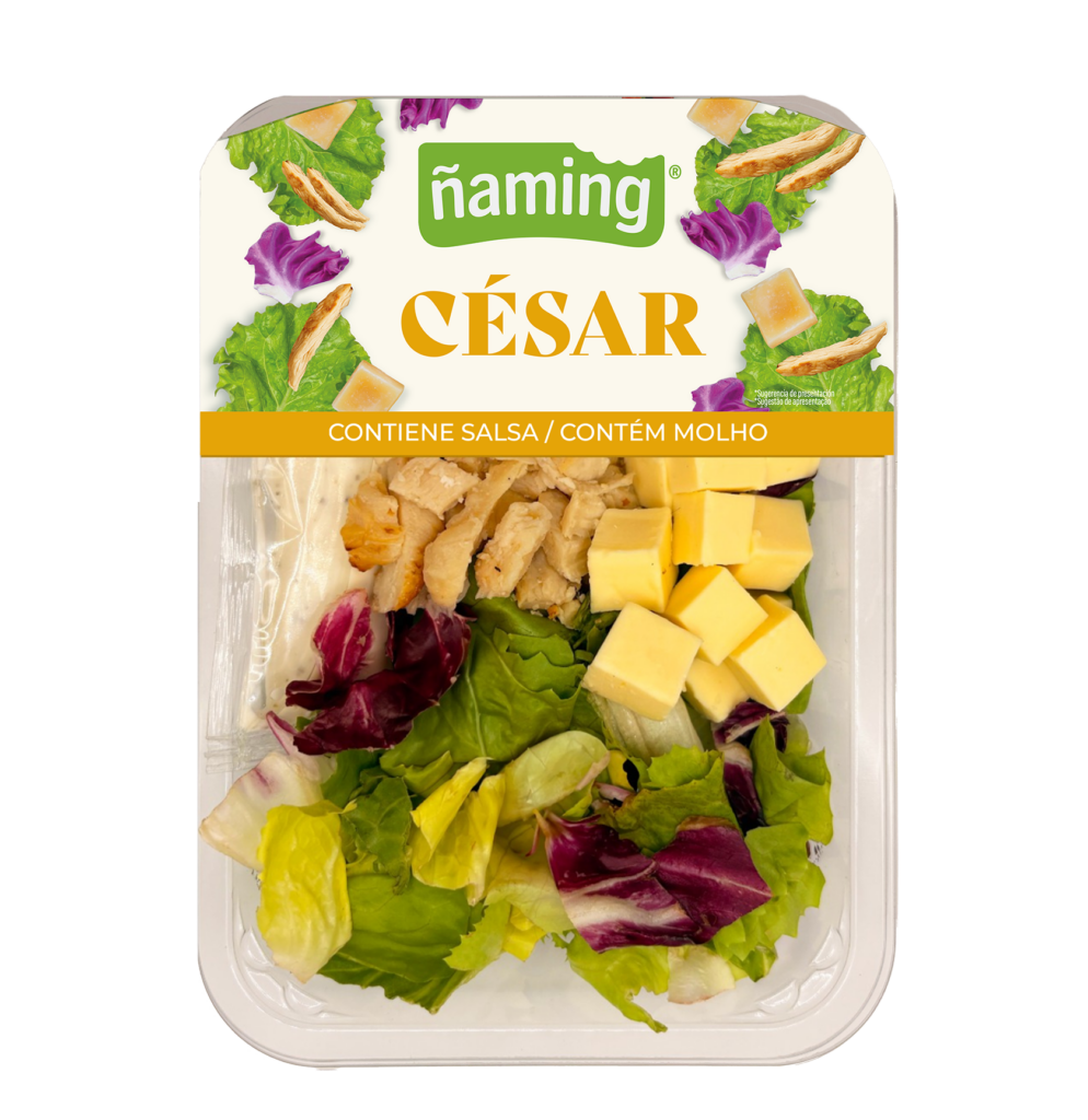CESAR 1